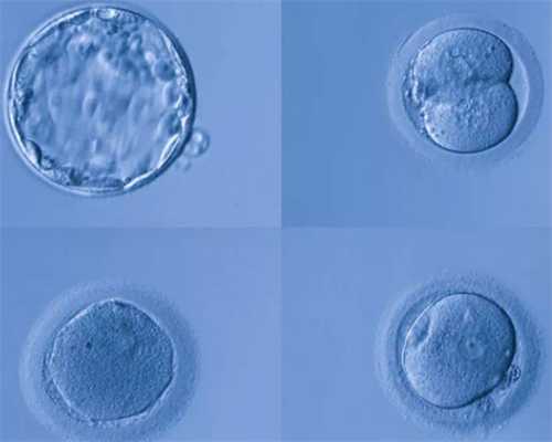 供卵胚胎是什么,天津三代试管助孕公司_九价疫苗多少钱，现在能预约吗（女，