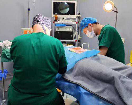 解析内蒙古医科大学附属医院2026年试管婴儿成功率与助孕服务