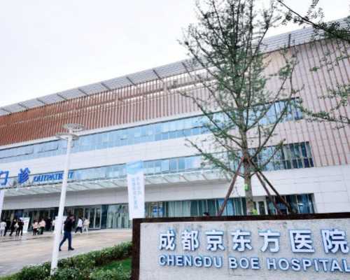 代怀与供卵试管婴儿费用解析与成功率探讨